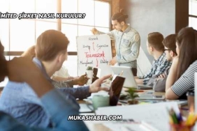 Limited Şirket Nasıl Kurulur?