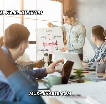 Limited Şirket Nasıl Kurulur?