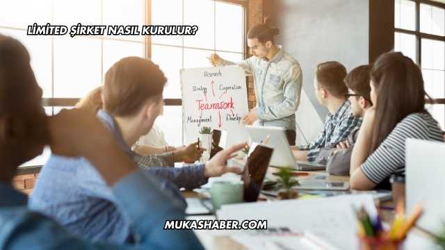 Limited Şirket Nasıl Kurulur?