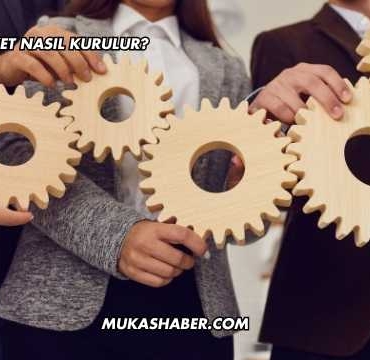 Limited Şirket Nasıl Kurulur?