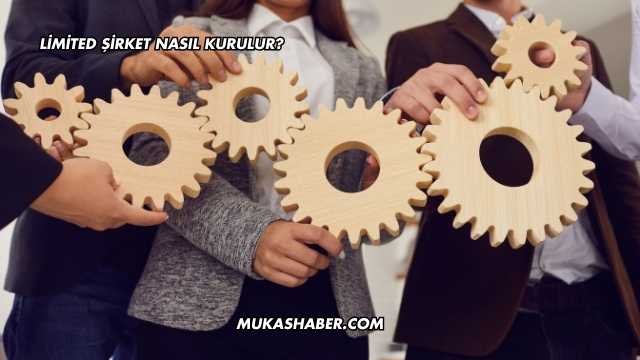 Limited Şirket Nasıl Kurulur?