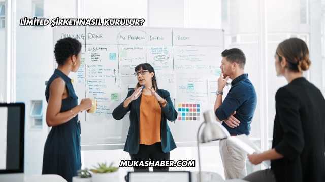 Limited Şirket Nasıl Kurulur?