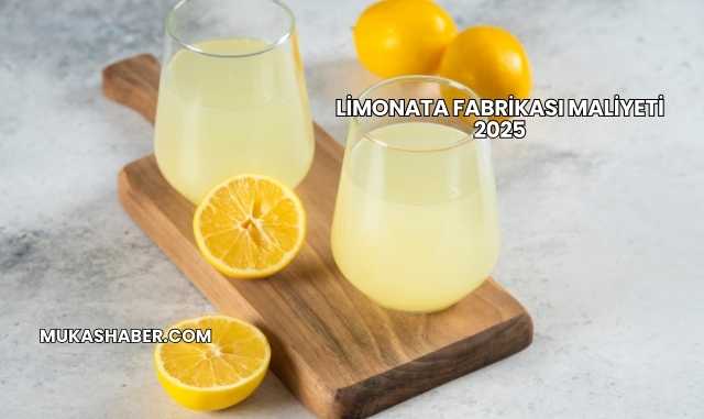 Limonata Fabrikası Maliyeti 2025