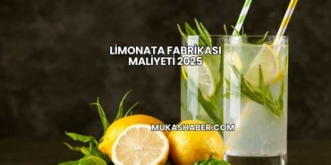 Limonata Fabrikası Maliyeti 2025