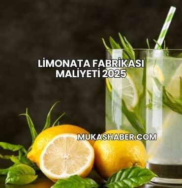 Limonata Fabrikası Maliyeti 2025