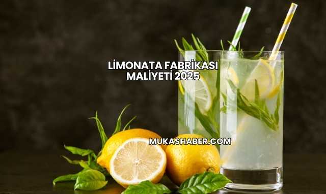 Limonata Fabrikası Maliyeti 2025