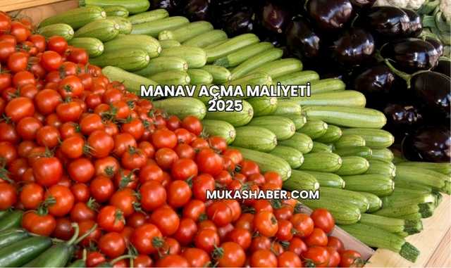 Manav Açma Maliyeti 2025