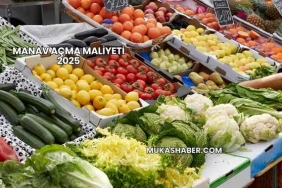 Manav Açma Maliyeti 2025