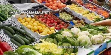 Manav Açma Maliyeti 2025