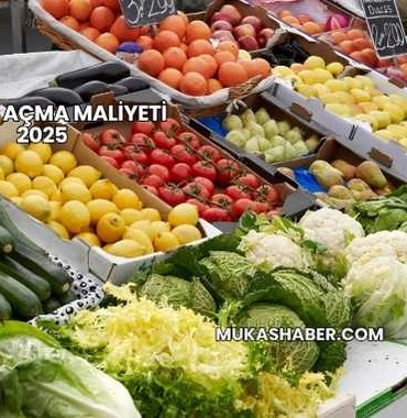 Manav Açma Maliyeti 2025