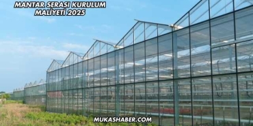 Mantar Serası Kurulum Maliyeti 2025
