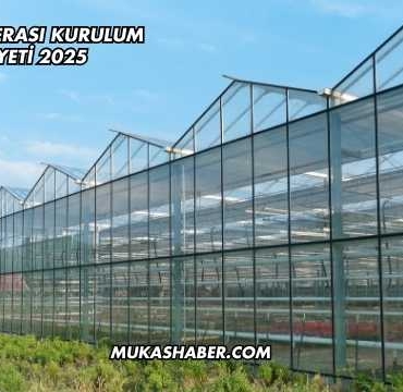 Mantar Serası Kurulum Maliyeti 2025