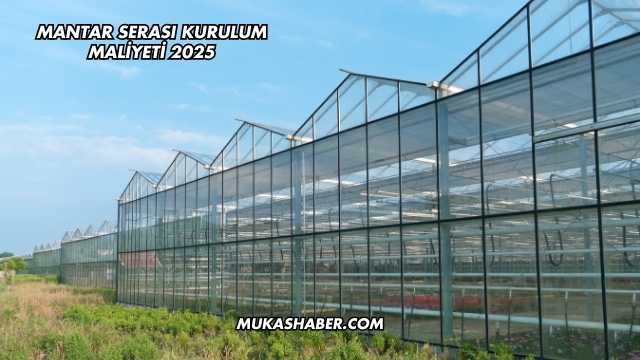 Mantar Serası Kurulum Maliyeti 2025
