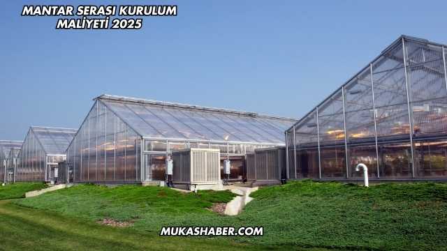 Mantar Serası Kurulum Maliyeti 2025