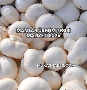 Mantar Üretim Tesisi Maliyeti 2025