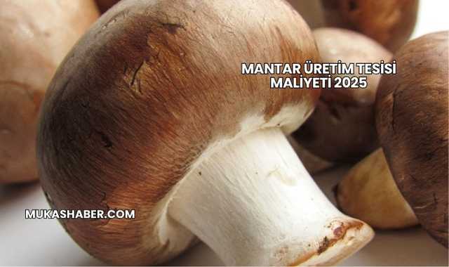 Mantar Üretim Tesisi Maliyeti 2025