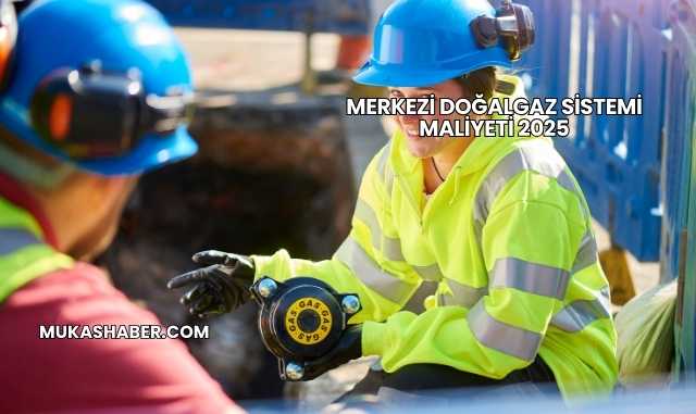 Merkezi Doğalgaz Sistemi Maliyeti 2025