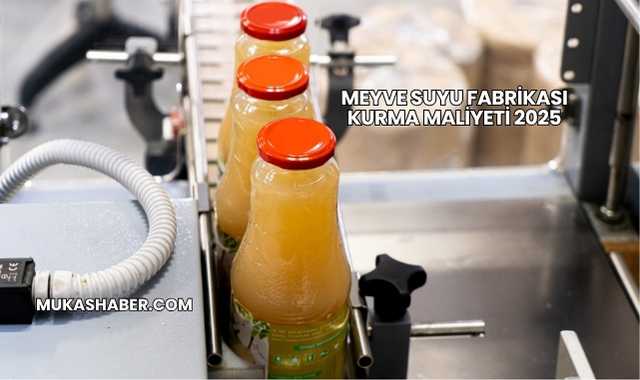 Meyve Suyu Fabrikası Kurma Maliyeti 2025