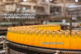 Meyve Suyu Fabrikası Kurma Maliyeti 2025