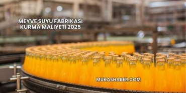 Meyve Suyu Fabrikası Kurma Maliyeti 2025