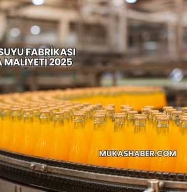 Meyve Suyu Fabrikası Kurma Maliyeti 2025