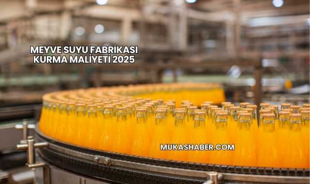 Meyve Suyu Fabrikası Kurma Maliyeti 2025