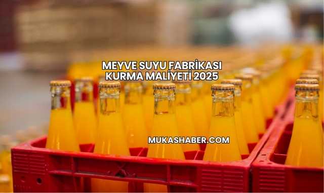 Meyve Suyu Fabrikası Kurma Maliyeti 2025