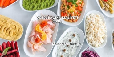 Mezeci Açma Maliyeti 2025