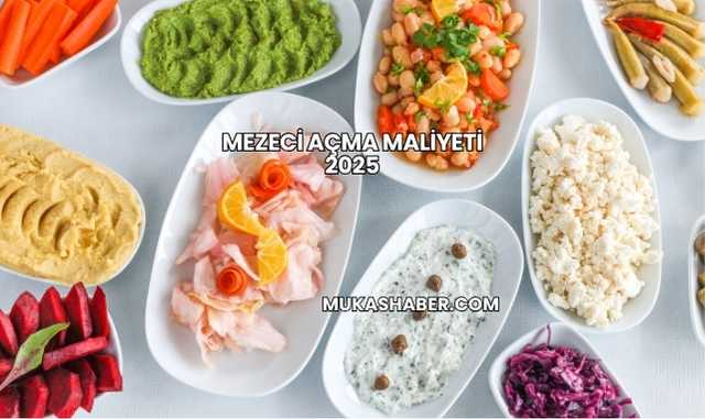 Mezeci Açma Maliyeti 2025