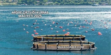 Midye Çiftliği Kurma Maliyeti 2025