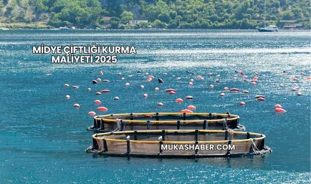 Midye Çiftliği Kurma Maliyeti 2025
