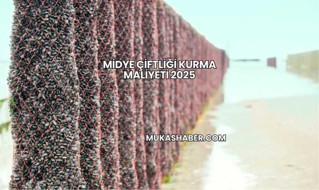 Midye Çiftliği Kurma Maliyeti 2025
