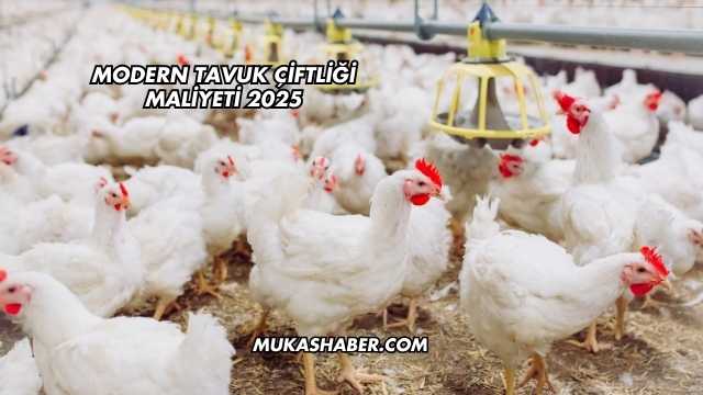Modern Tavuk Çiftliği Maliyeti 2025