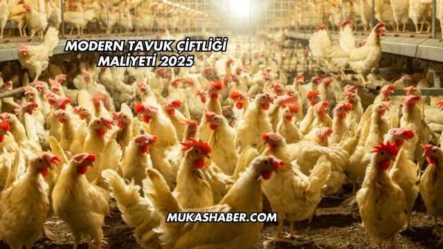 Modern Tavuk Çiftliği Maliyeti 2025