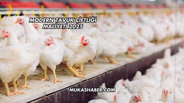 Modern Tavuk Çiftliği Maliyeti 2025