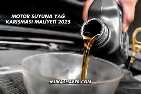 Motor Suyuna Yağ karışması maliyeti 2025