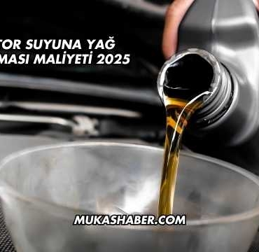 Motor Suyuna Yağ karışması maliyeti 2025