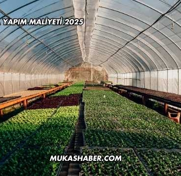 Naylon Sera Yapım Maliyeti 2025