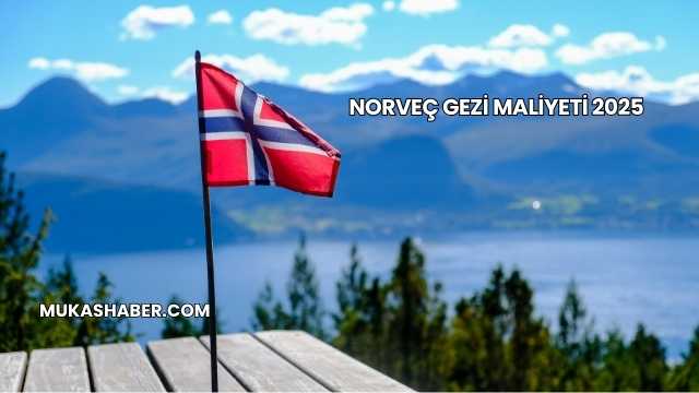 Norveç Gezi Maliyeti 2025