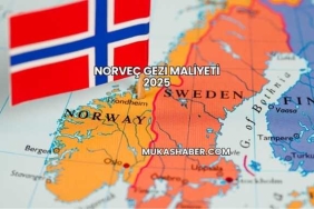 Norveç Gezi Maliyeti 2025