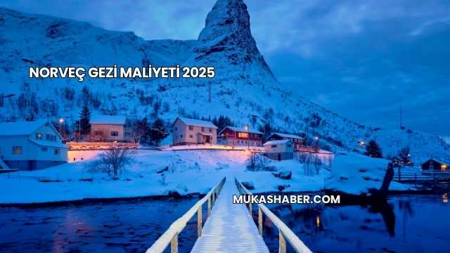 Norveç Gezi Maliyeti 2025