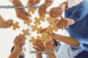 Offshore Şirket Kurma Maliyeti 2025