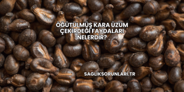 Öğütülmüş Kara Üzüm Çekirdeği Faydaları Nelerdir?