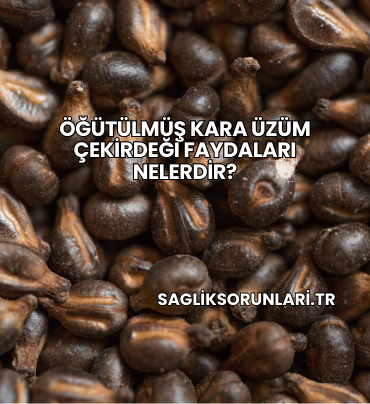 Öğütülmüş Kara Üzüm Çekirdeği Faydaları Nelerdir?