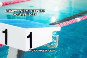 Olimpik Yüzme Havuzu Maliyeti 2025