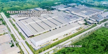 Peçete Fabrikası Kurulum Maliyeti 2025