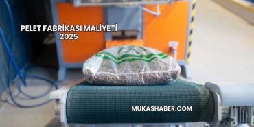 Pelet Fabrikası Maliyeti 2025