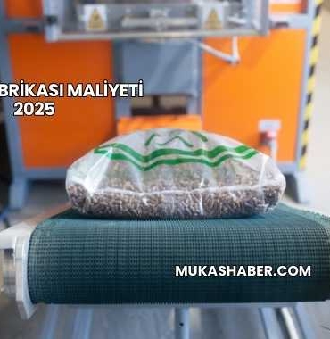 Pelet Fabrikası Maliyeti 2025