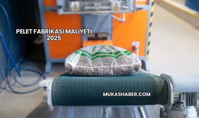 Pelet Fabrikası Maliyeti 2025
