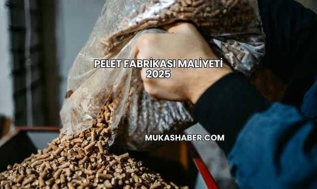 Pelet Fabrikası Maliyeti 2025